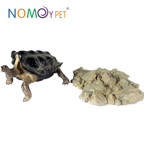 resin-turtle-model-1