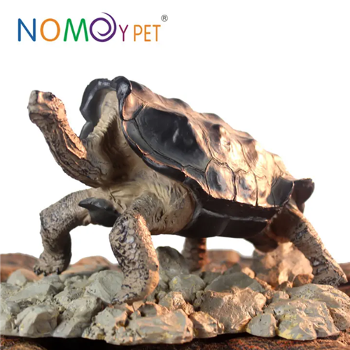 resin-turtle-model